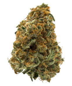 Sage & Sour Cannabis Flower by MTL