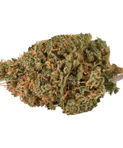 Citroli Cannabis Flower by Bud Lafleur